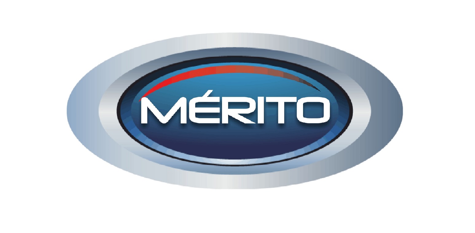 LOGO MERITO.